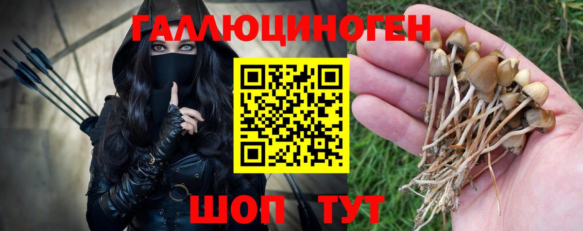 Галлюциногенные грибы мицелий  Галлюциногенные грибы мухоморы  Кимры  Вход с VPN 